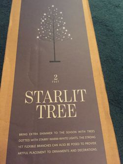 RH starlit trees