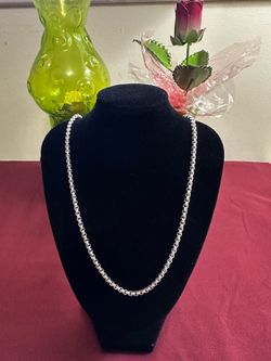 (NEW) Fine Silver Plated Necklace