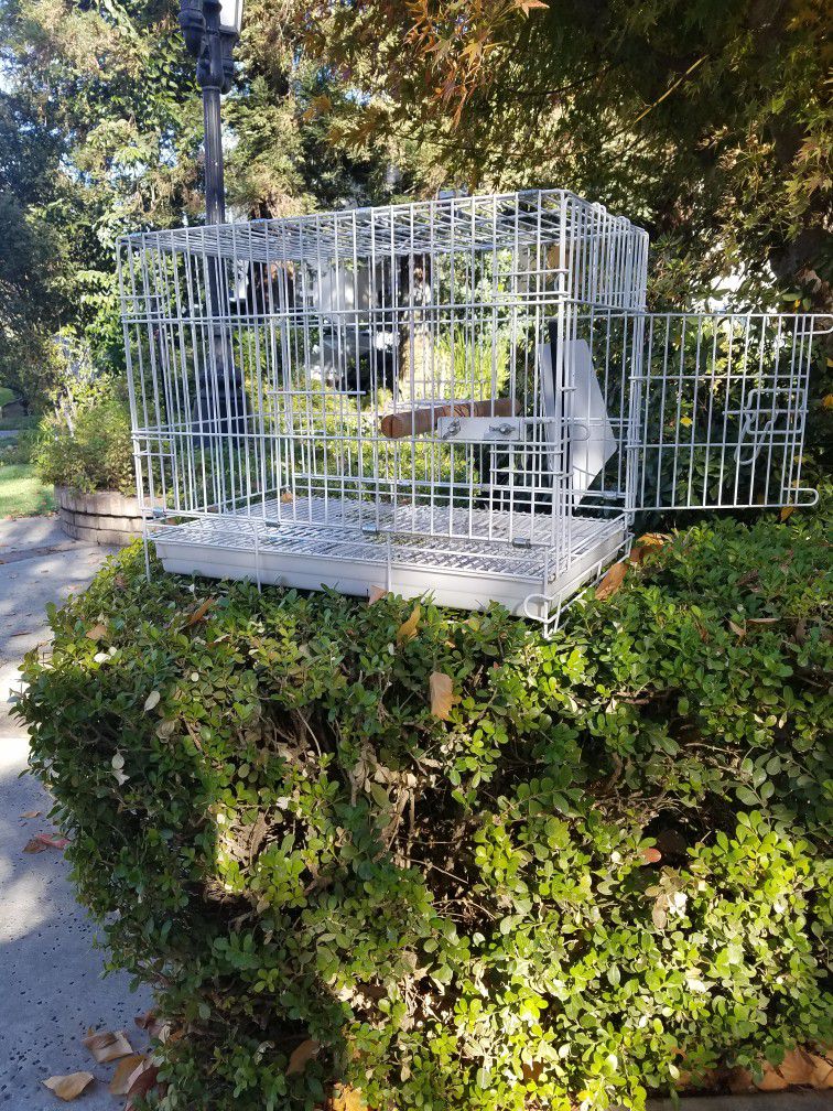 Transport Bird Cage