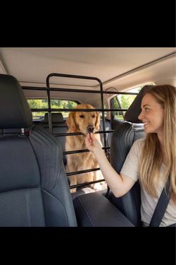 Dog gate for car