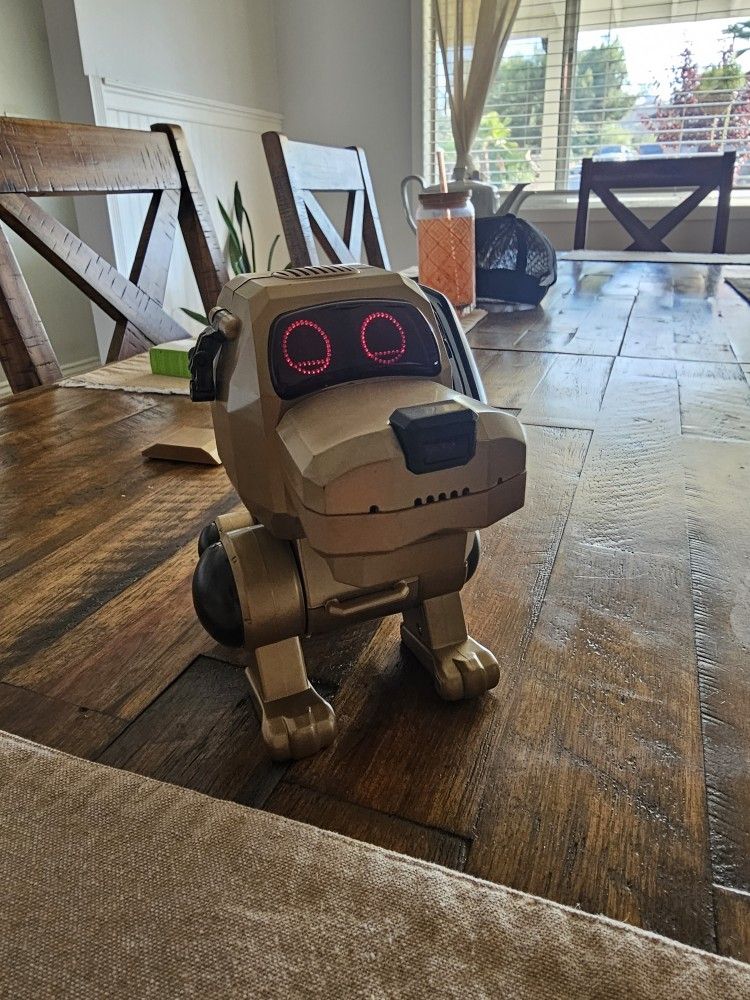 Vintage Poo- Chi / Collectible