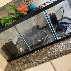Fish tanks
