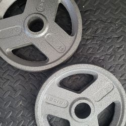 25lbs Olympic Weights 