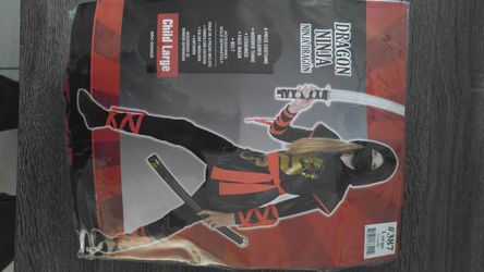 Dragon Ninja Costume