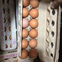 We Sell Chicken Eggs 