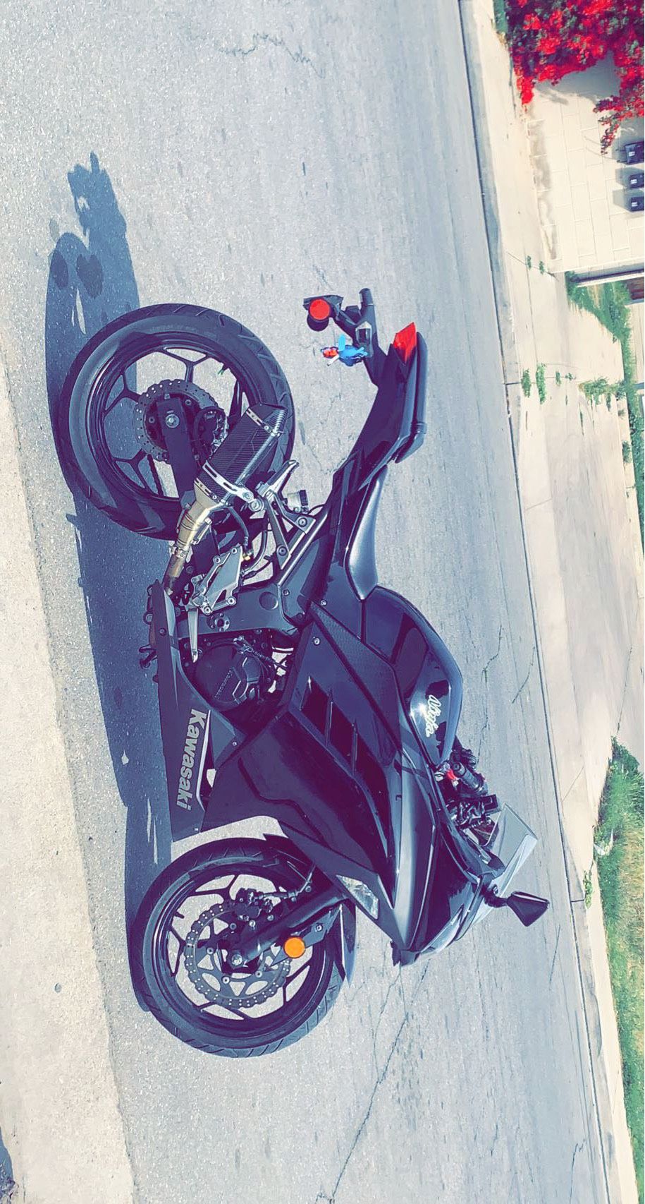 2014 Kawasaki 300 Ninja