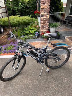 Schwinn