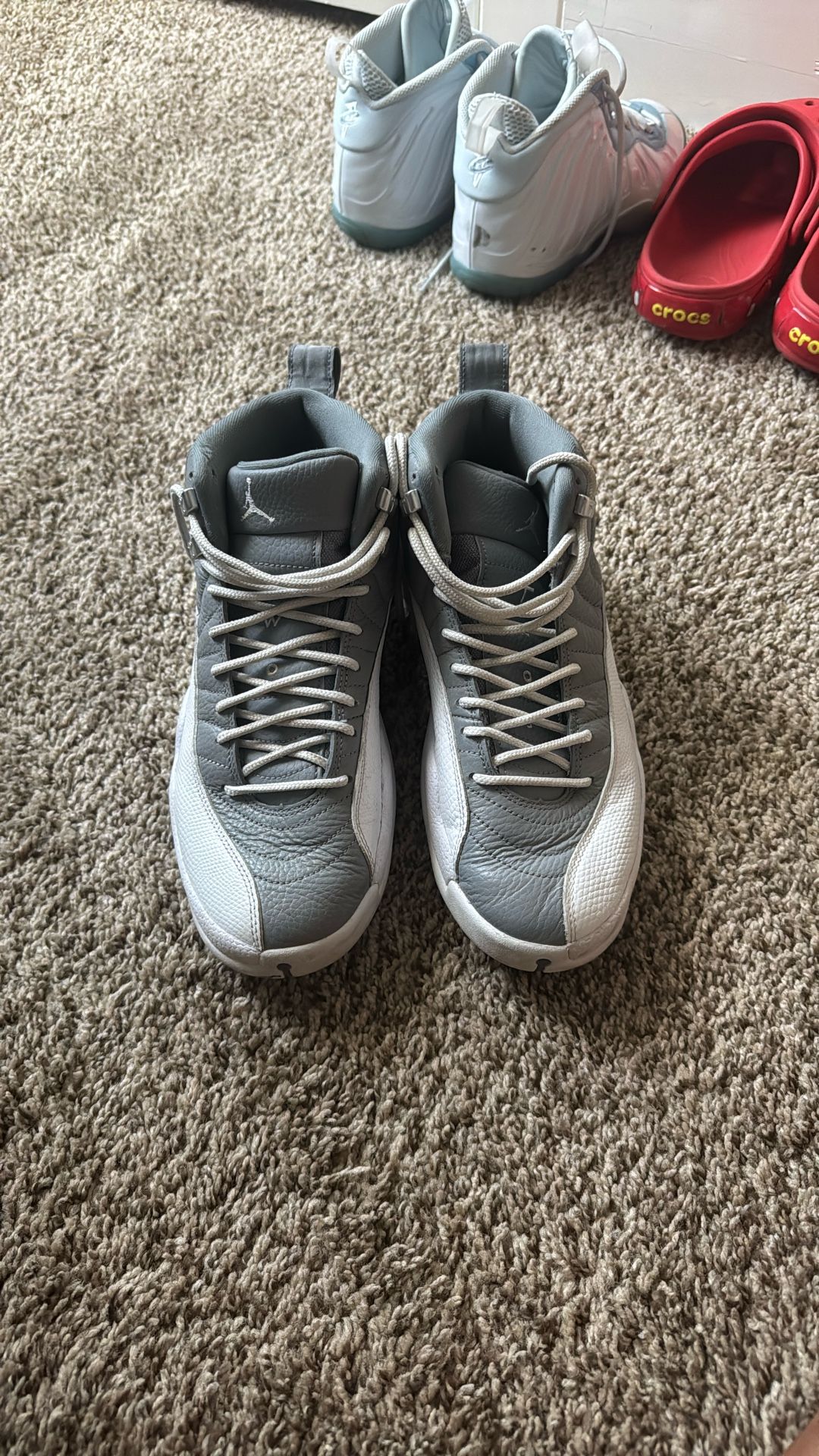 Jordan 12 Retro Stealth