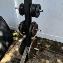 Olympic Barbell And Weights Plates 