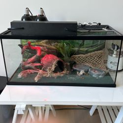 Reptile Aquarium