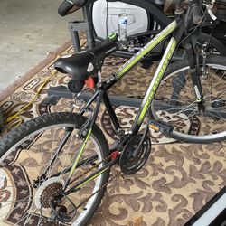 Roadmaster Granite Peak Bike