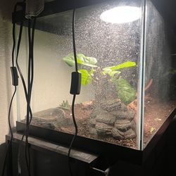 Reptile tank