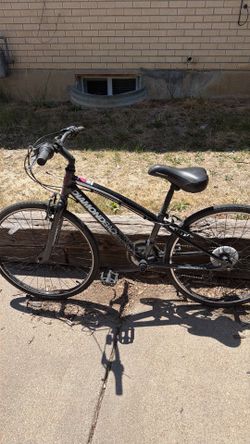 24” Diamondback Insight bike