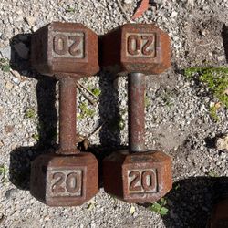 20 LB Dumbbells