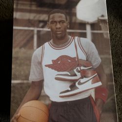 Jordan 1 high bredtoe reimagined size 11