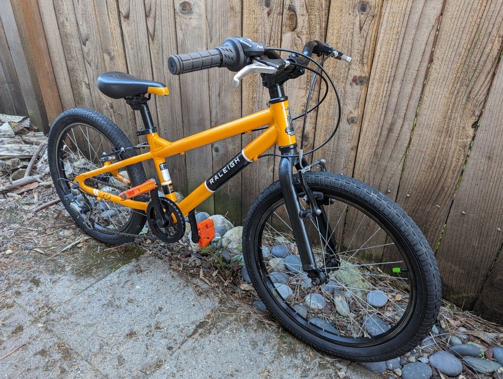 Raleigh Rowdy 20 Inch Kid Mountain Road Bike for Sale in Seattle WA OfferUp