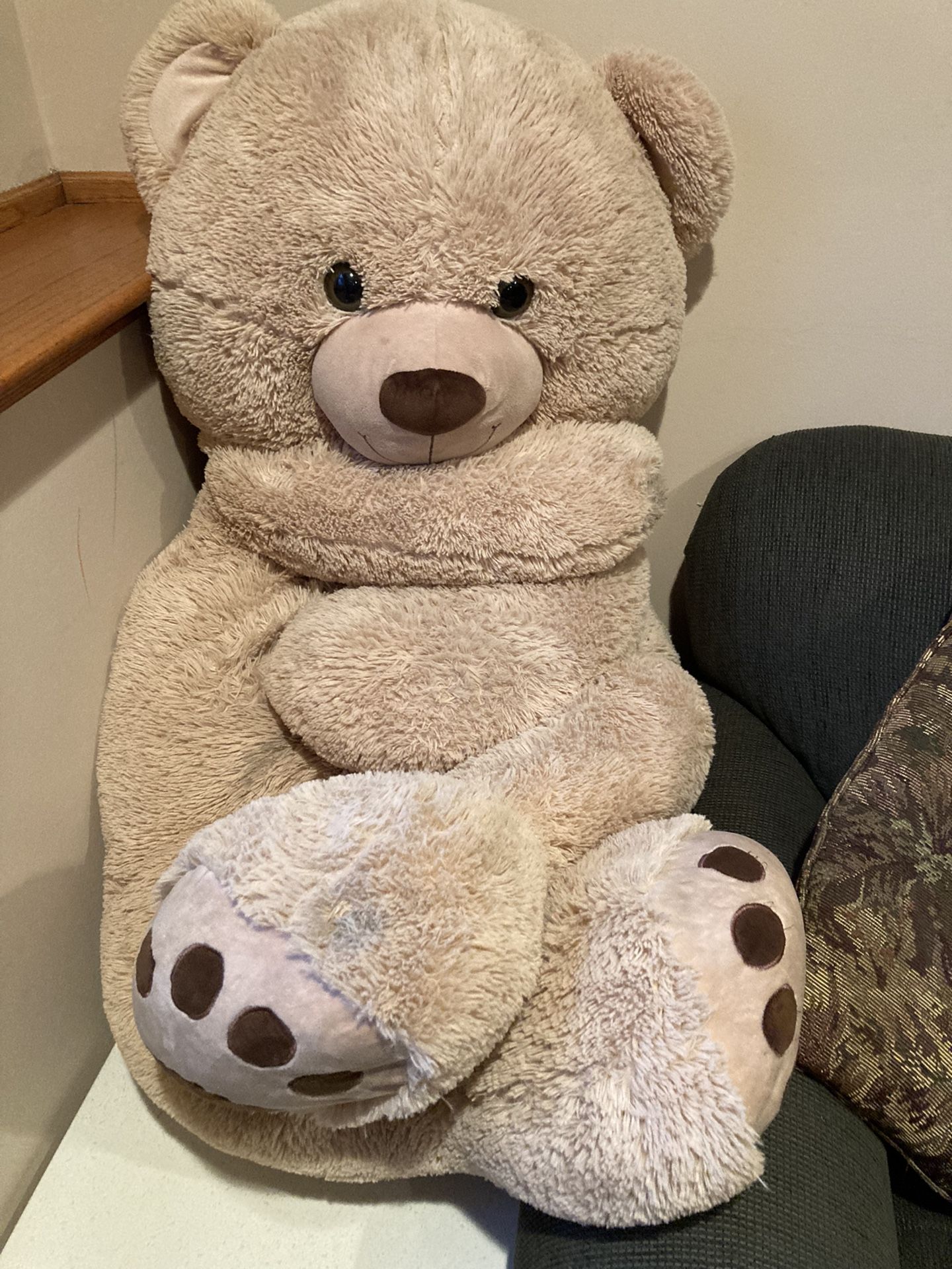 Giant Bear From Costco $20