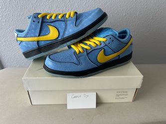 Nike sb