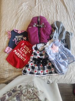 Female Dog Dresses Ropa Para Perrita