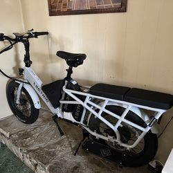 Lectric Xpedition dual battery and accessories
