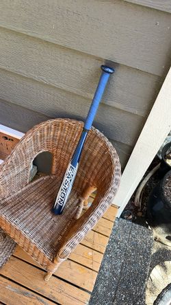 25” Easton Kids Little League/Tee ball Bat