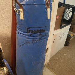Sugar ray Punching Bag