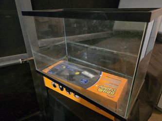 10 Gallon Aquarium