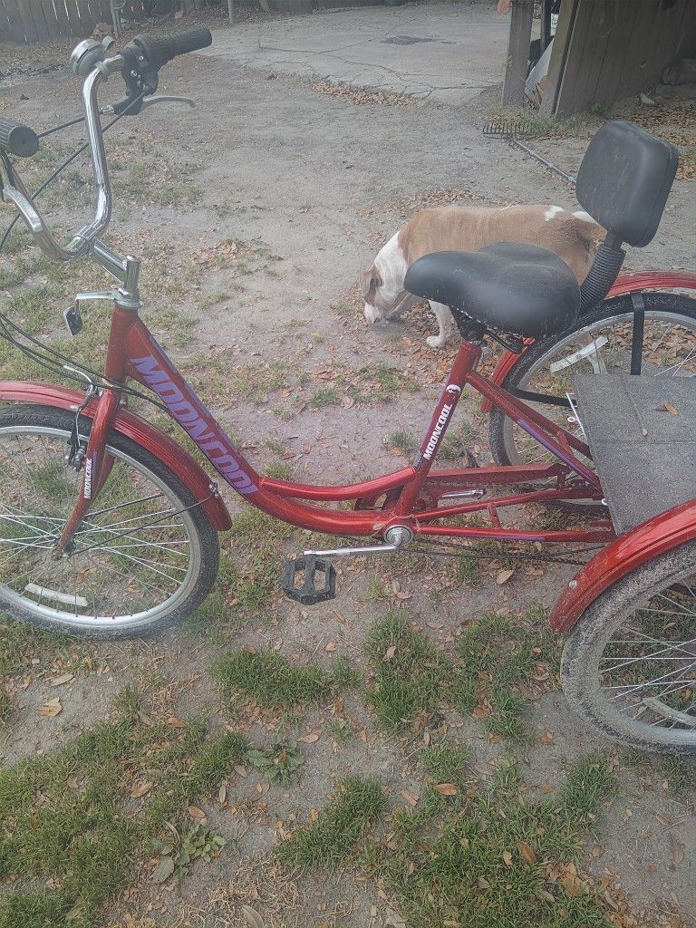 3 Wheeler Bike