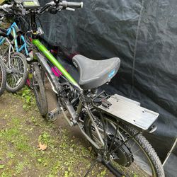Giant Sedona DX Electric bike