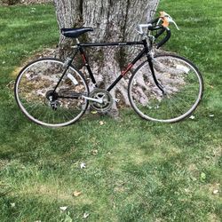 28” Road Bike (needs Work/ Xl Frame)