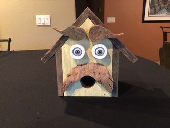 Handmade Rustic Wood Birdhouse with Face
