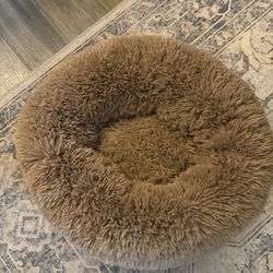 🐶Petloox Small Dog Bed