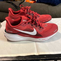 NIKE Air Zoom Pegasus 41 AZ Cardinals