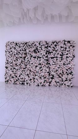 Wall flower