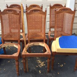 Oak Cane Chairs (6) New Wood Seats & Foam Cut To Fit