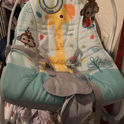 Baby Bouncer Chair