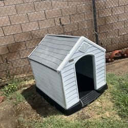 Dog House 