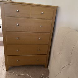 Chest 