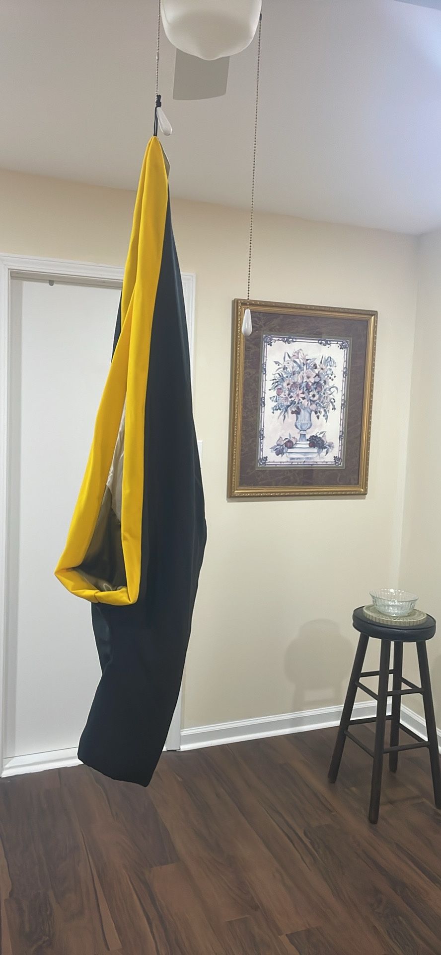 Georgia Tech regalia (For Sale)