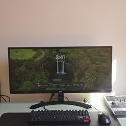 LP 27in Monitor (29UM68-P)