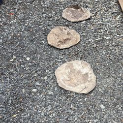Stepping Stones
