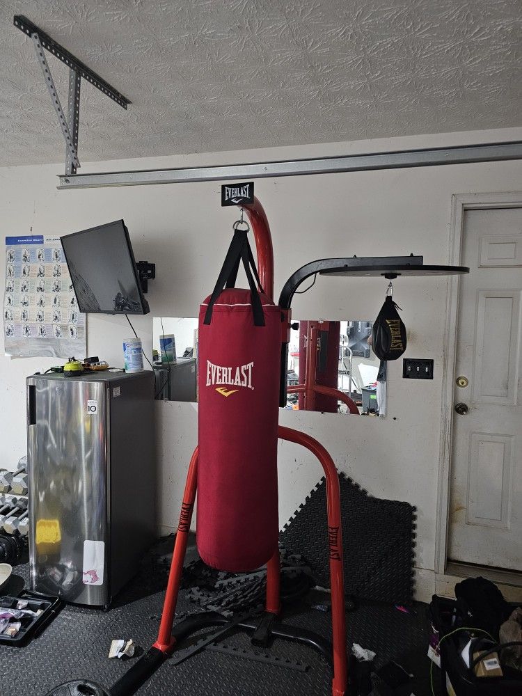 Punching Bag & Stand