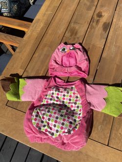 Owl Baby Costume 