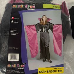 Vintage 1998 Goth Spider Lady Costume - Adult Medium (Mardi Gras Costumes)