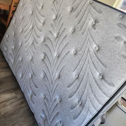 Full size mattress, box springs & frame