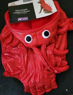 Red Lobster shiny Halloween Dog Costume Medium New
