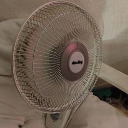 Wall Fan