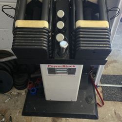 Powerblock Dumbells 