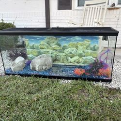 Fish Tank