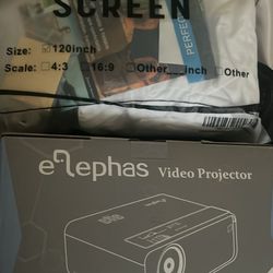 Projector And Screen 